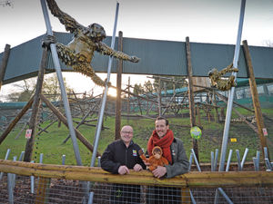 Supporting image for story: Dudley Zoo goes bananas as ape sculpture highlighting endangered species is unveiled