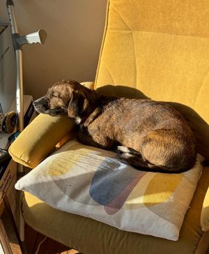 Jo Roberts, a BBC1 antiques dealer, was out walking near her Warwickshire home when she fell and broke her hip.