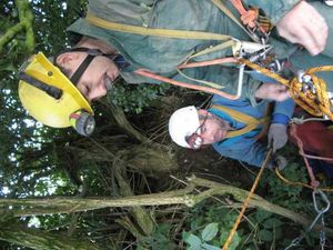 Supporting image for story: Pet rescue - in pictures