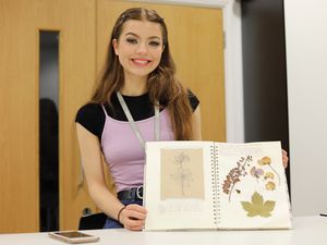 Supporting image for story: Dudmaston Hall inspires Telford artwork