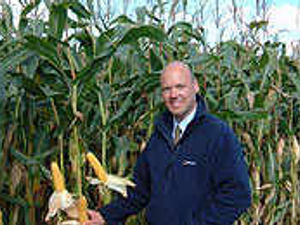 Supporting image for story: New maize contender