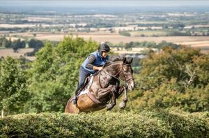 Ludlow Racecourse Retraining Of Racehorses (ROR) ambassador, First Fandango.