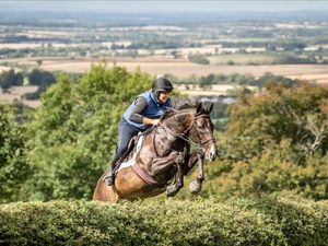 Supporting image for story: Ludlow Racecourse celebrates National Racehorse Week with community coffee morning