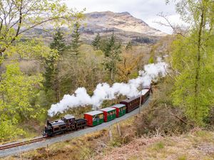 Supporting image for story: Mid Wales railways named among 'most scenic' routes in Europe