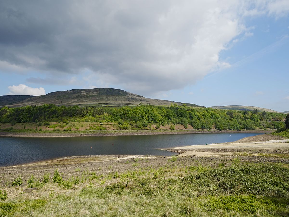 Interim water review ‘not the finishing line’ to fix failures, campaigners warn