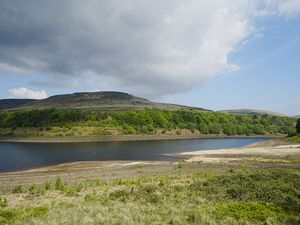 Supporting image for story: Interim water review ‘not the finishing line’ to fix failures, campaigners warn
