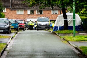 Supporting image for story