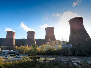 Supporting image for story: Ironbridge Power Station redevelopment: Newts are to get their own pond haven