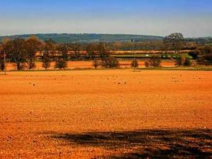Supporting image for story: Some like it hot but Shropshire fields are parched in March
