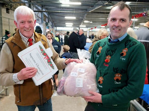 Supporting image for story: Going, going, gone: 400 birds sold for Christmas dinner at Shrewsbury auction - including 31lb turkey and 19lb goose!