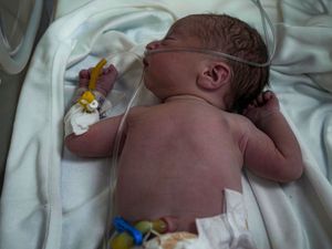 Supporting image for story: 13 Palestinians killed in central Gaza strikes as ceasefire talks continue