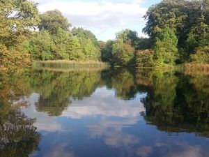 Supporting image for story: Police launch investigation after man's body pulled from water at Walsall nature reserve 