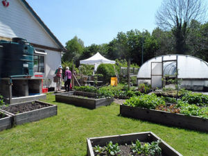 Supporting image for story: How does your garden grow - cash for more allotments in Newtown