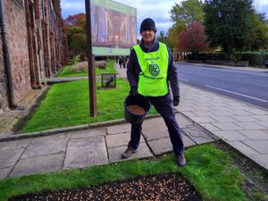 Supporting image for story: Thousands of crocus bulbs planted by Rotary club at Shrewsbury Abbey