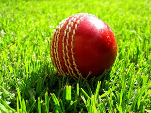 Supporting image for story: St Georges seek members