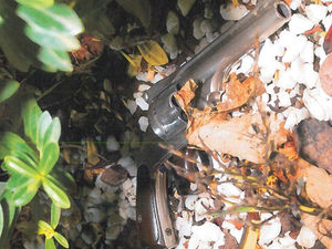 Supporting image for story: Star comment: Jail terms for killers welcomed