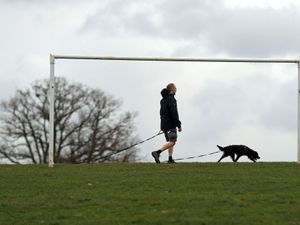 Supporting image for story: No need for thermals as New Year’s Eve temperatures set to break records