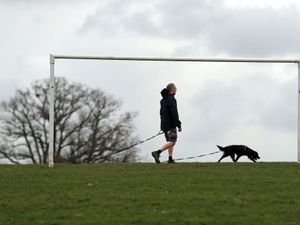 Supporting image for story: No need for thermals as New Year’s Eve temperatures set to break records