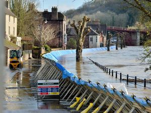 Supporting image for story: Roadworks are another blow to businesses on the Wharfage 