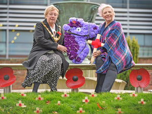 Supporting image for story: Poignant Dudley 'Poppy Walk' officially opened by mayor