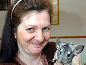 Supporting image for story: Animal dream comes true