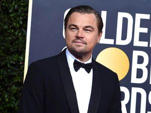 Supporting image for story