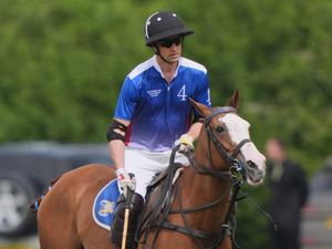 Supporting image for story: Royal donor offered access to Prince of Wales for cash, reports say