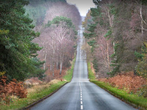 Supporting image for story: Consultation over Cannock Chase proposals 'should be reviewed to see if more work needs to be done'