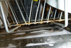 Uncleanliness was discovered at the premises by hygiene inspectors. Photo: Walsall Council 