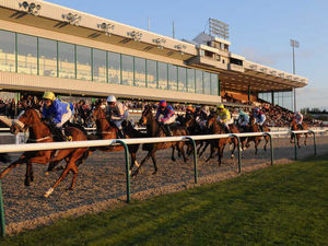 Supporting image for story: Wolverhampton races preview and tips - November 16