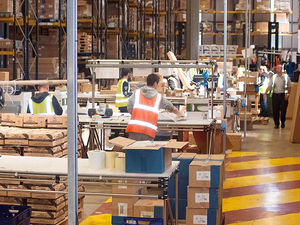 Supporting image for story: Luceco sales up in 2019