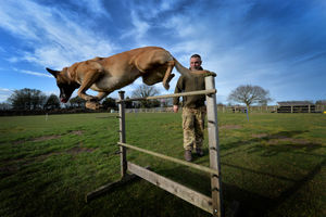 John Fitzpatrick at Cosford Dog Training
