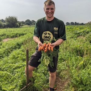 'Harverst Hoedown' in September is a recent addition to the calendar and sees PLAY@ visitors pick their own farm fresh veg as part of their family day out