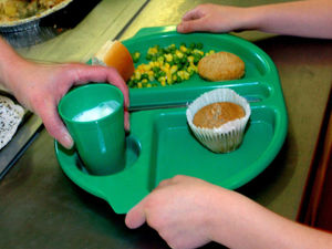 Supporting image for story: Shropshire MPs defend voting against free holiday school meals