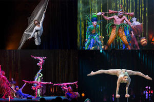 Supporting image for story: Cirque Du Soleil: Varekai, Genting Arena, Birmingham - review and pictures