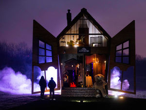 Supporting image for story: Plans for new Alton Towers attraction passed by councillors who 'have no idea' what it is
