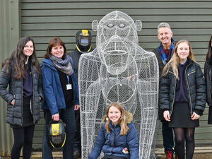 Supporting image for story: Wem pupils going ape over bottle top gorilla 