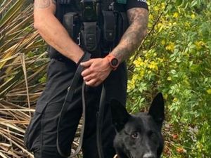 Supporting image for story: Man arrested in Oldbury on firearm and drugs charges - with help from police dog