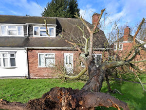 Supporting image for story: Storm Joceyln set to batter region today