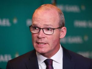 Supporting image for story: ‘Ireland cannot back Brexit deal which lets minority veto wishes of majority’