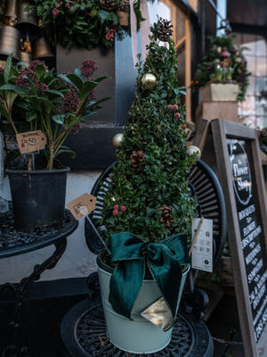 Credit: Ian Knight / Z70 Photography