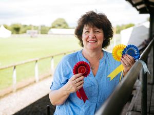 Supporting image for story: Countdown is on for Oswestry Show this weekend