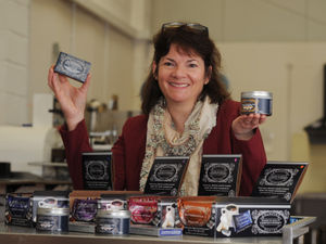 Supporting image for story: Full steam ahead as strategy boost Shropshire’s economic growth