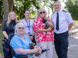 Supporting image for story: Lizzie meet Elizabeth! - Adorable West Midlands police pups to be named after former dog handlers