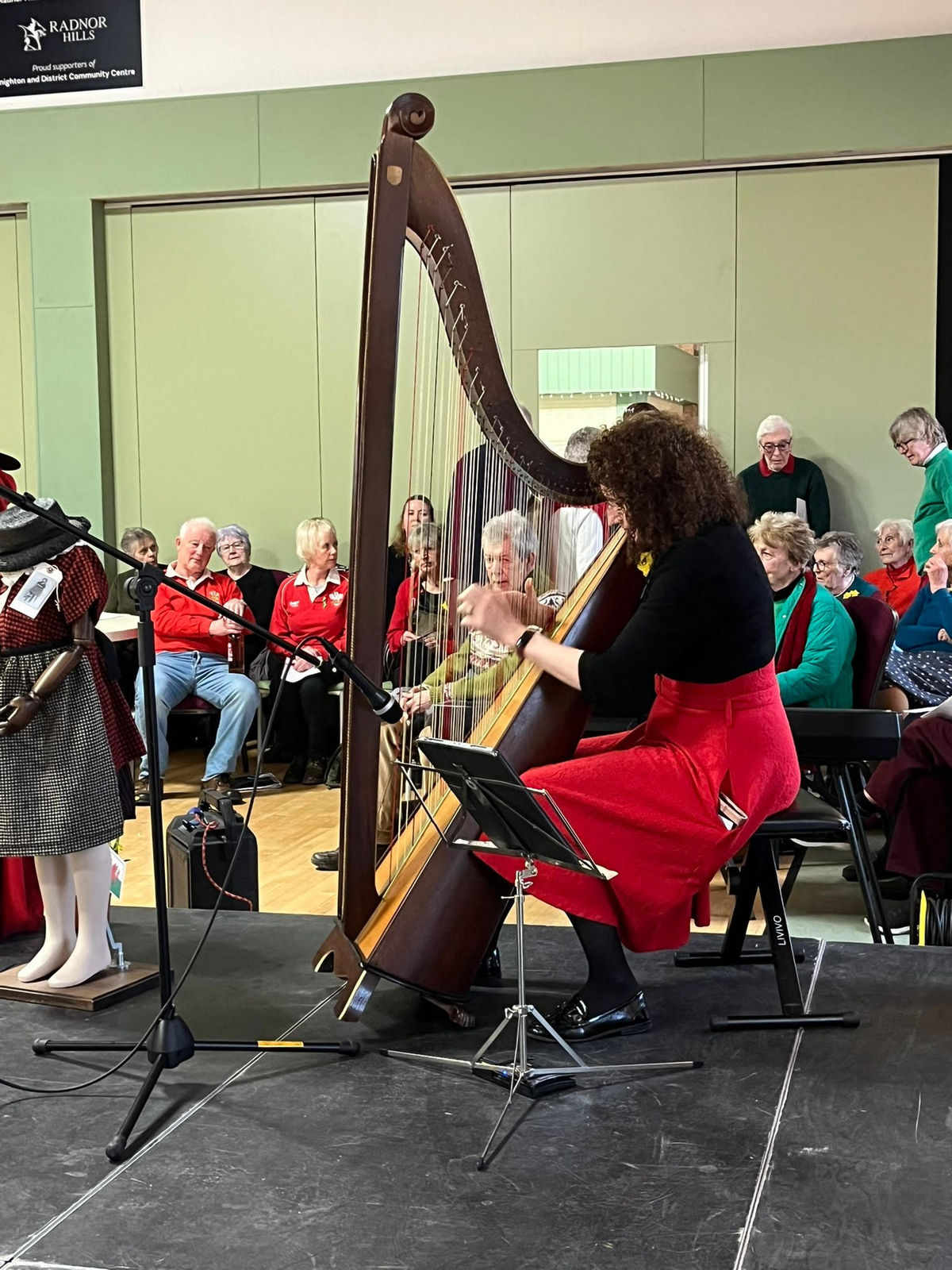 Welsh food, lessons and music at Powys St Davids Day event