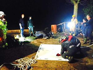 Firefighters with the rescued cow. Photo: @shropsfire