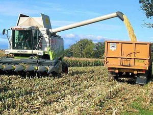 Supporting image for story: Welsh farming cash welcomed