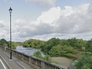 Supporting image for story: Water rescue unit dispatched to help swan trapped in wire on River Severn