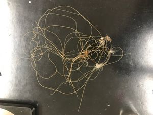 The RSPCA is urging anglers to clear up their rubbish