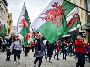 Supporting image for story: Welsh council seeks bank holiday for St David’s Day despite Westminster veto